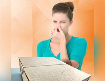 BAD SMELLING BOXES