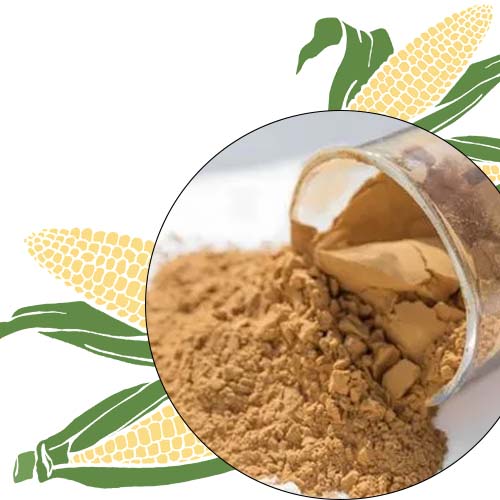 Yellow Dextrin Manufacturer